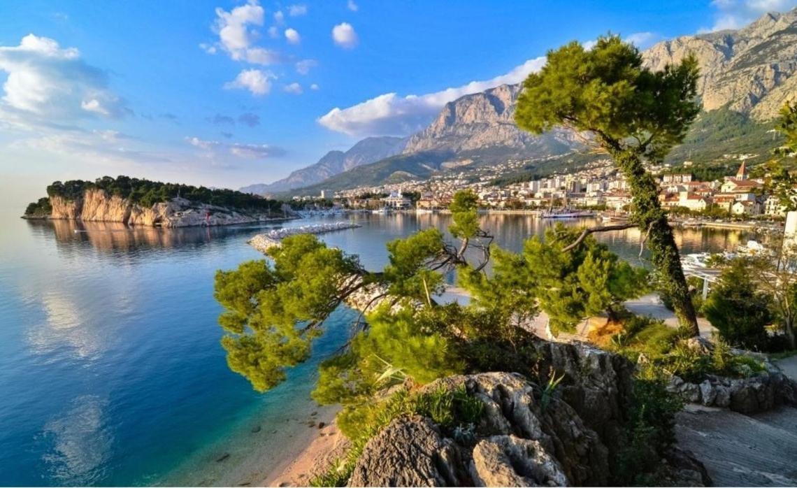 Sea Star Makarska